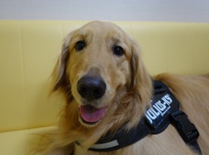 170529_doubutsujika_2